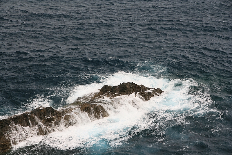 Kanary_2010 021